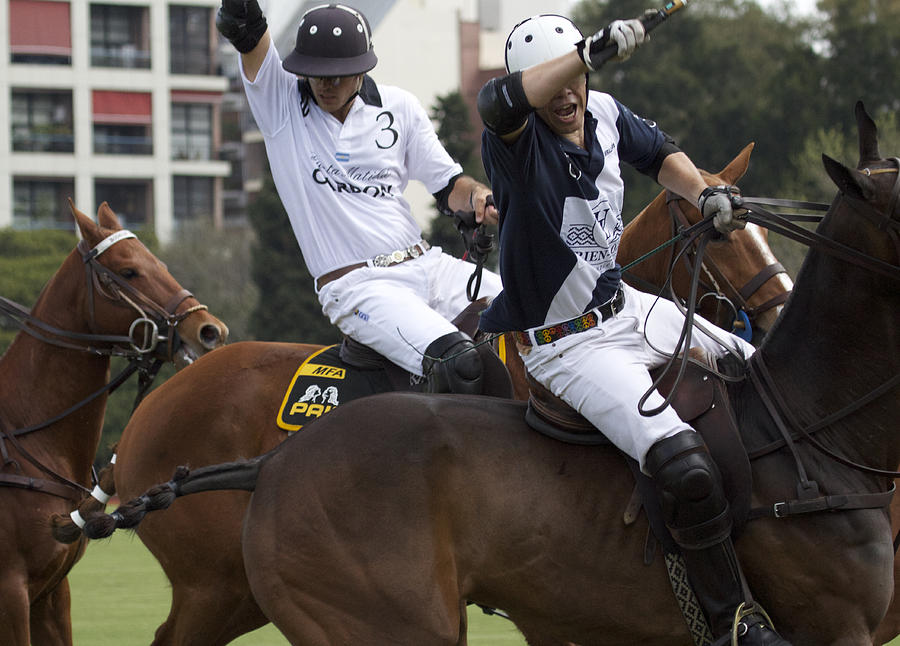 Polo in Argentina Thats My Shot Photograph by Venetia Featherstone-Witty