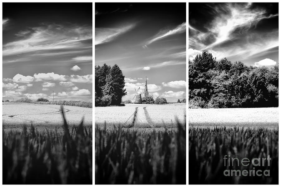 Thaxted Mill Triptych Photograph by Jack Torcello