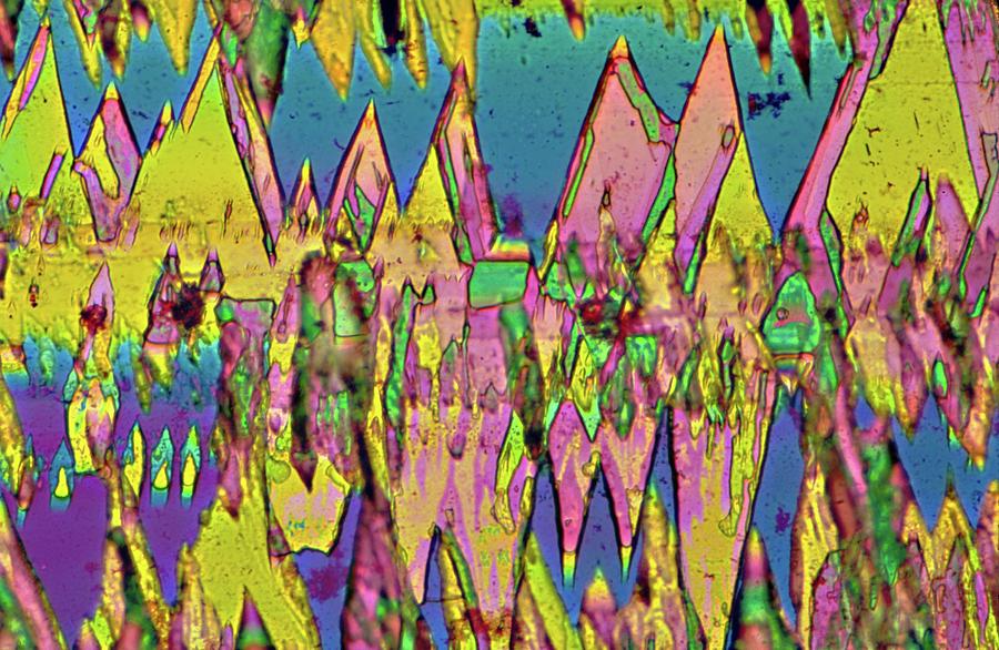 Thc Crystals Photograph by Dennis Kunkel Microscopy/science Photo Library