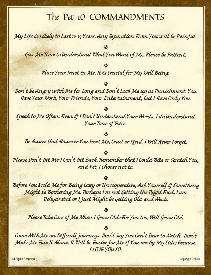 The 10 Commandments For Pets Antique Marble Mixed Media By Desiderata 