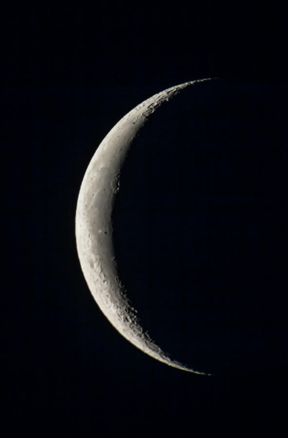 Black And White Photograph - The 25-day-old Waning Crescent Moon by Alan Dyer