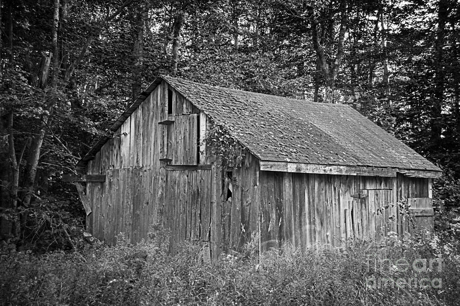 The Abandoned Shed Photograph by Alana Ranney