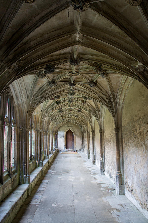 The Abbey Cloisters Photograph by Weir Here And There