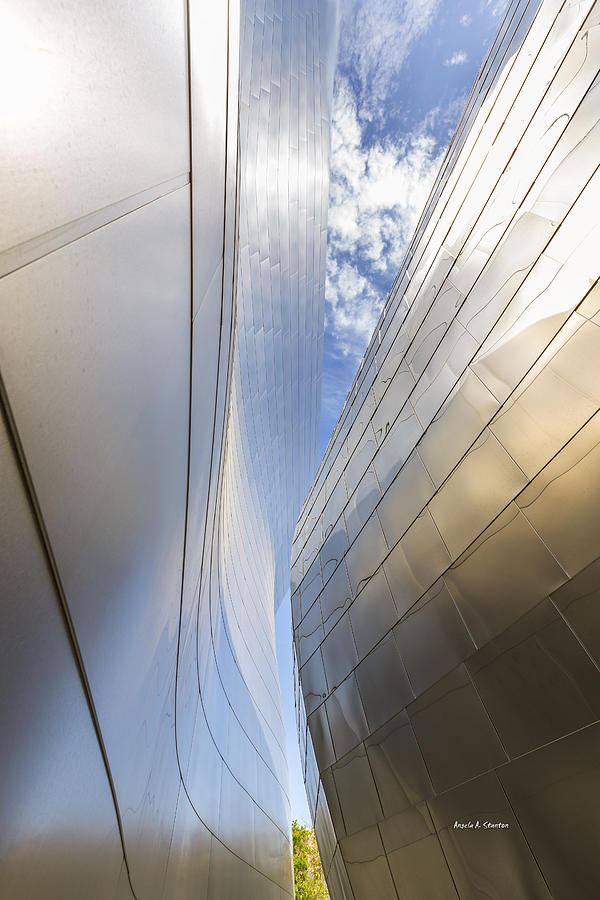 The Abstract Curves of the Disney Concert Hall Photograph by Angela Stanton