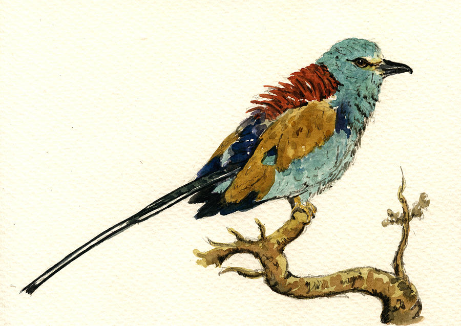 Wildlife Painting - The Abyssinian Roller Coracias abyssinicus by Juan  Bosco