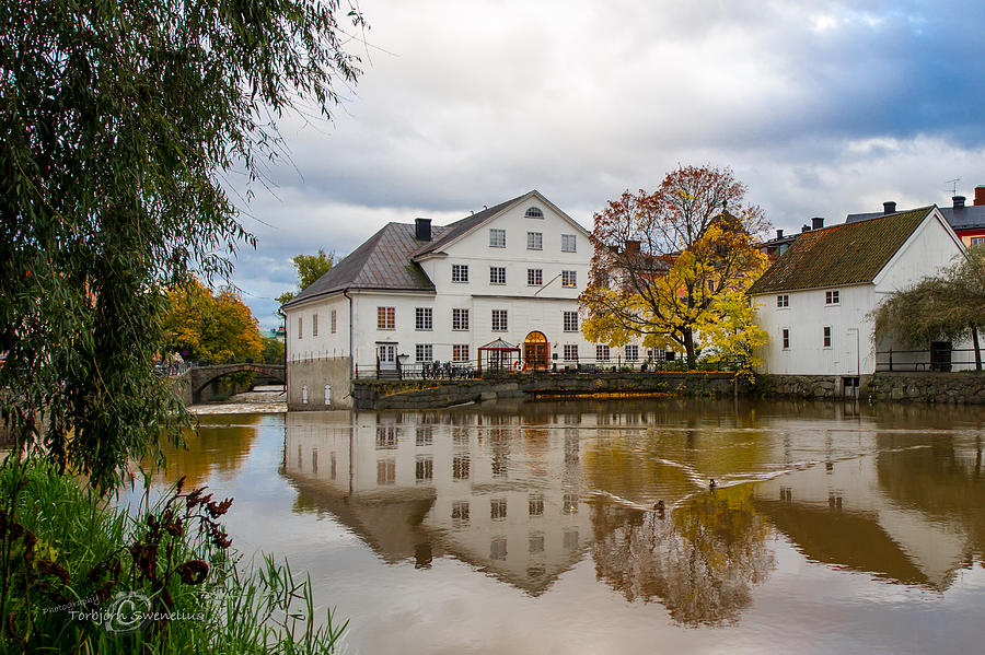 The Academy Mill Photograph by Torbjorn Swenelius