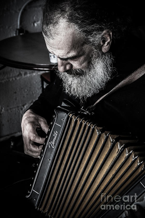 The Accordion Player Photograph