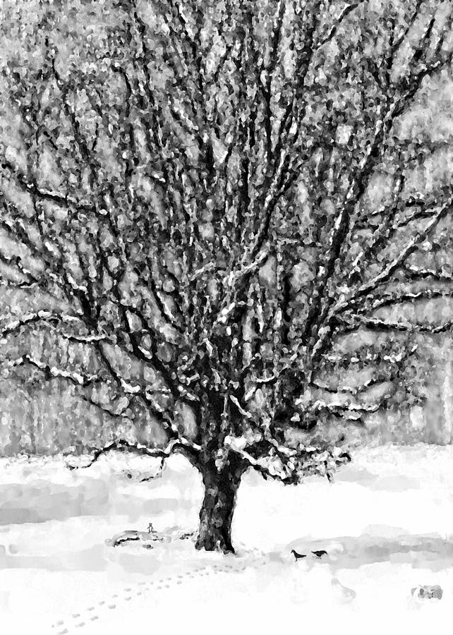 The Adrian Tree Digital Art by Gary Olsen-Hasek