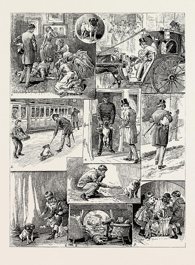 Train Drawing - The Adventures Of The Dog Jim, 1889 1. Being Promised A Pet by Litz Collection