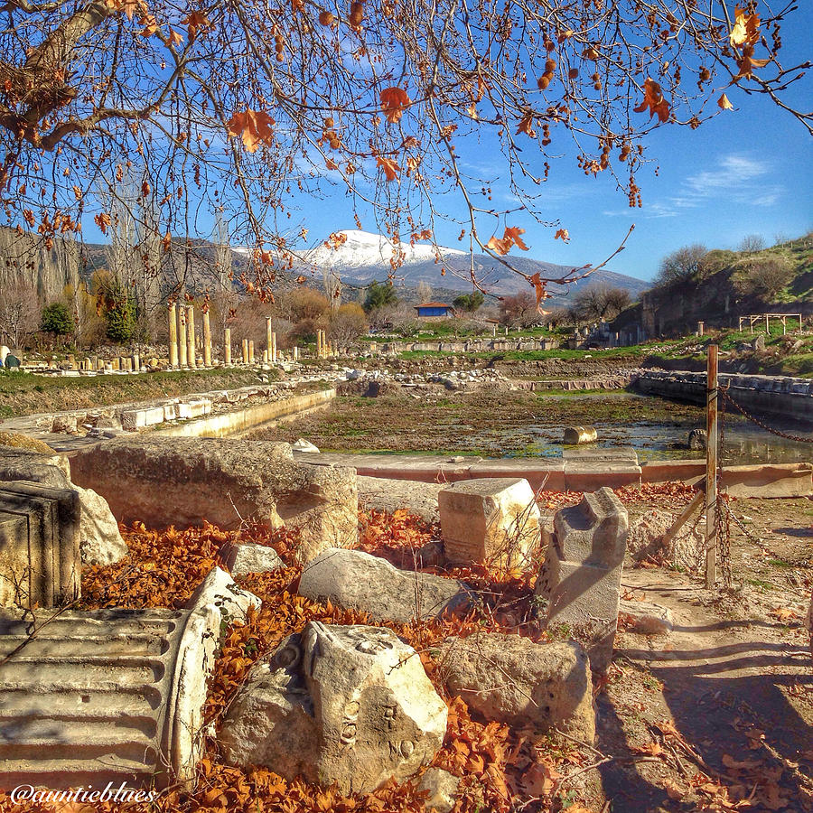 Turkey Photograph - The agora at Aphrodisias by Auntieblues