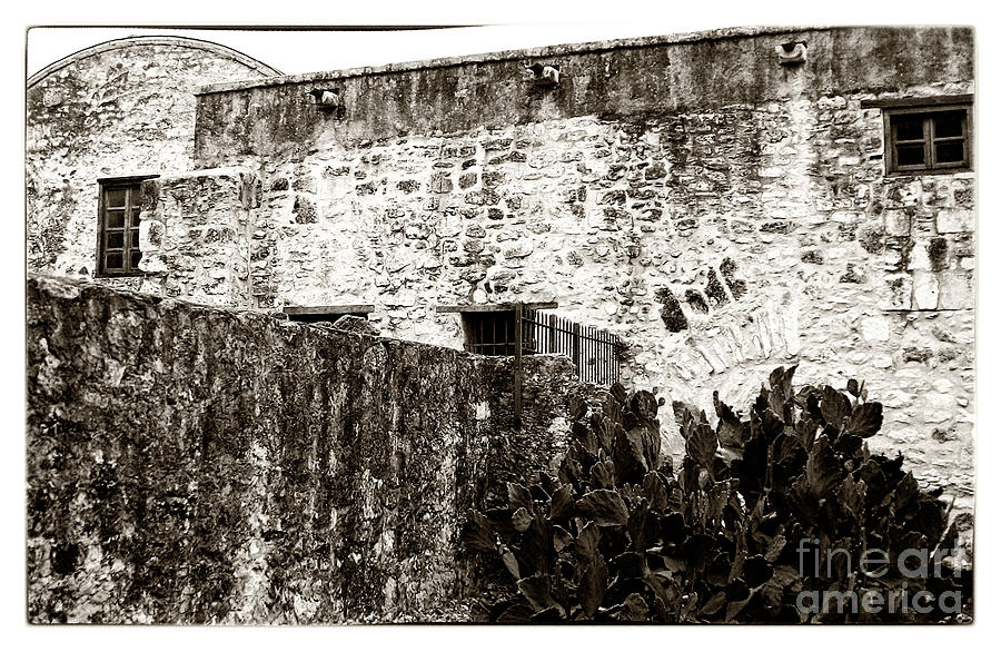 The Alamo Photograph by John Rizzuto