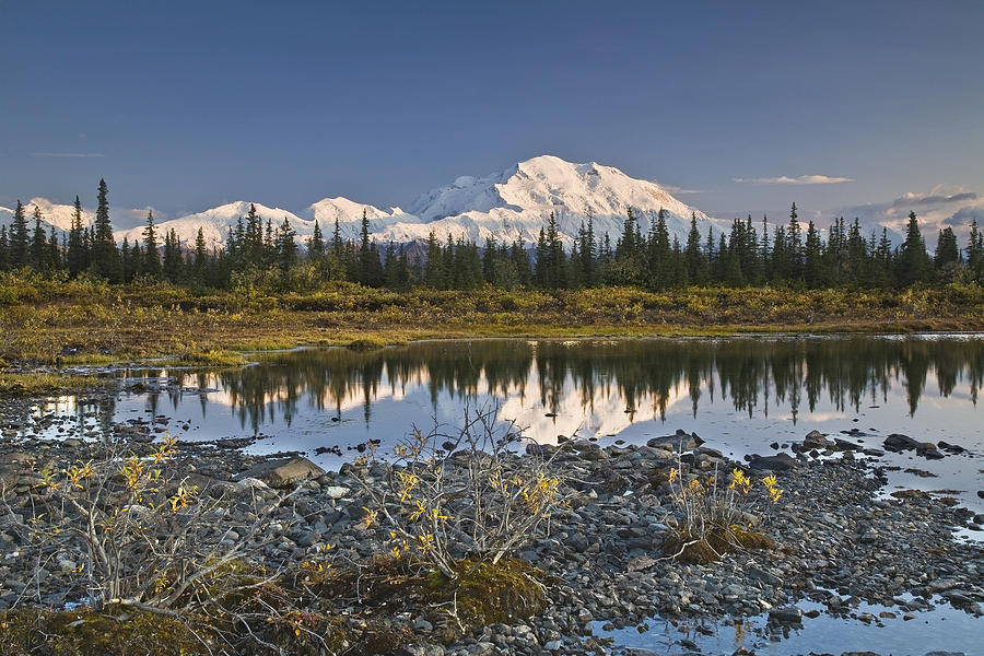 The Alaska Range And Denalis North Face Photograph by John Delapp