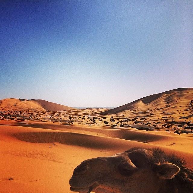 Desert Photograph - The #algeria #border In #sahara #desert by Ryoji Japan