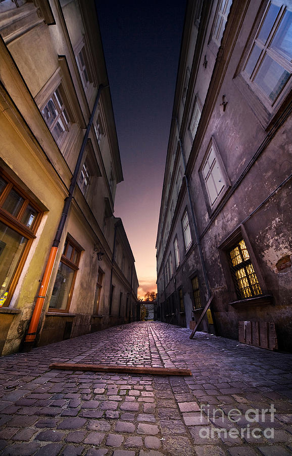 The alley of Cracov Photograph by Jaroslaw Blaminsky