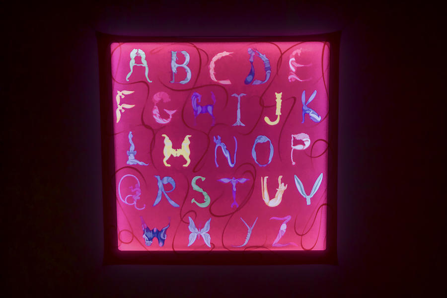 The Alphabet Digital Art by Photographic Art by Russel Ray Photos
