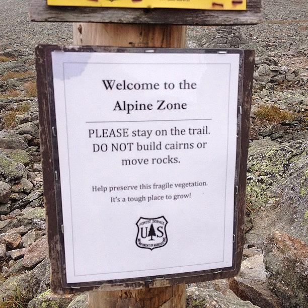 Amazing Photograph - The Alpine Zone On Mount Washington by Jordan Napolitano