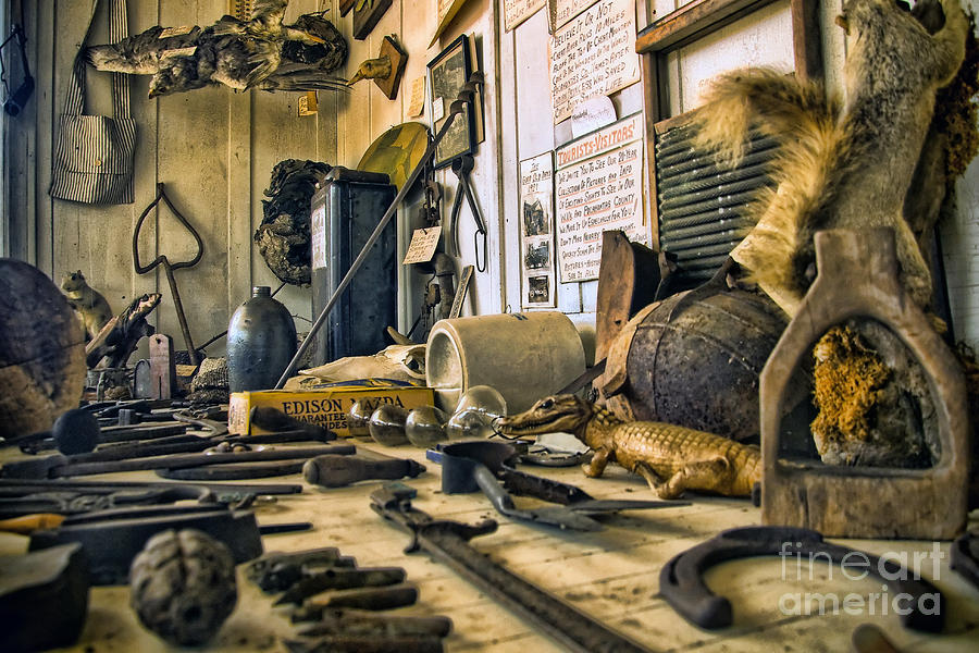 Alligator Photograph - The Amazing WV Country Road Store Window Display by Kathleen K Parker