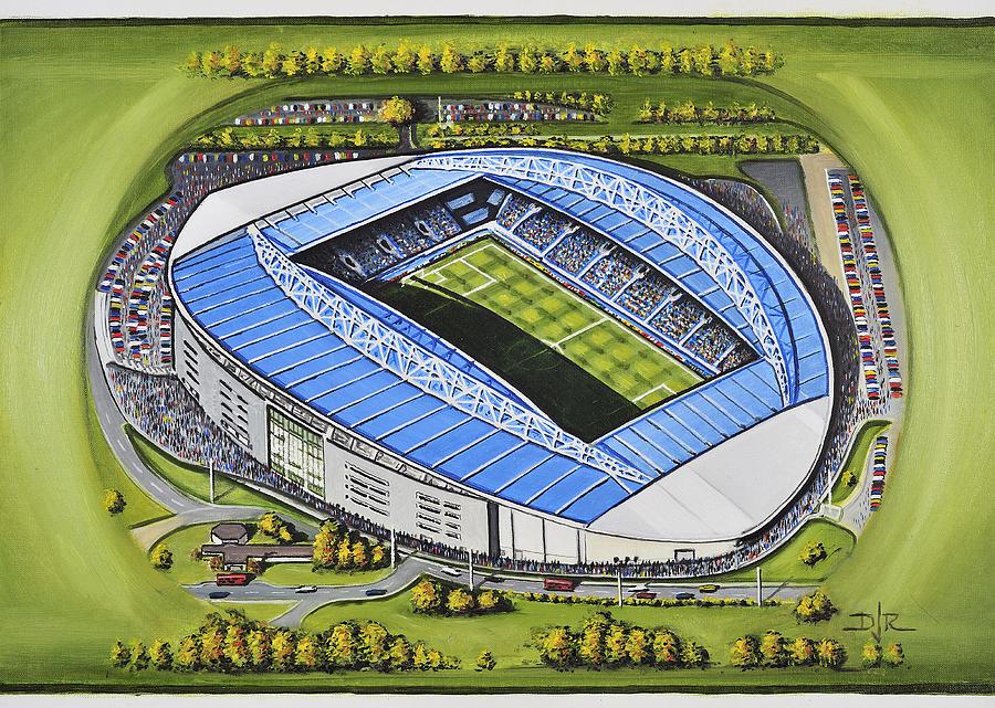 Football Painting - The Amex Stadium - Brighton and Hove Albion by D J Rogers