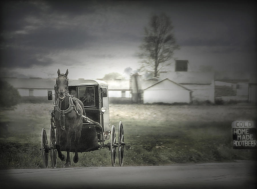 The Amish of Lancaster County Photograph by Dyle   Warren
