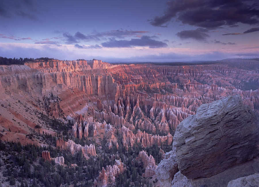 The Amphitheater From Bryce Point Photograph by Tim Fitzharris