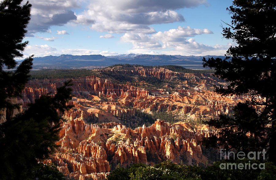 The Ampitheater Bryce Canyon Photograph by Butch Lombardi