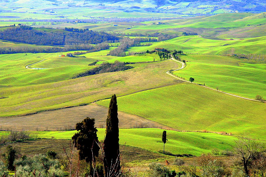 the ancienne via Francigena of Tuscany Pyrography by Paolo Frongia - Pixels