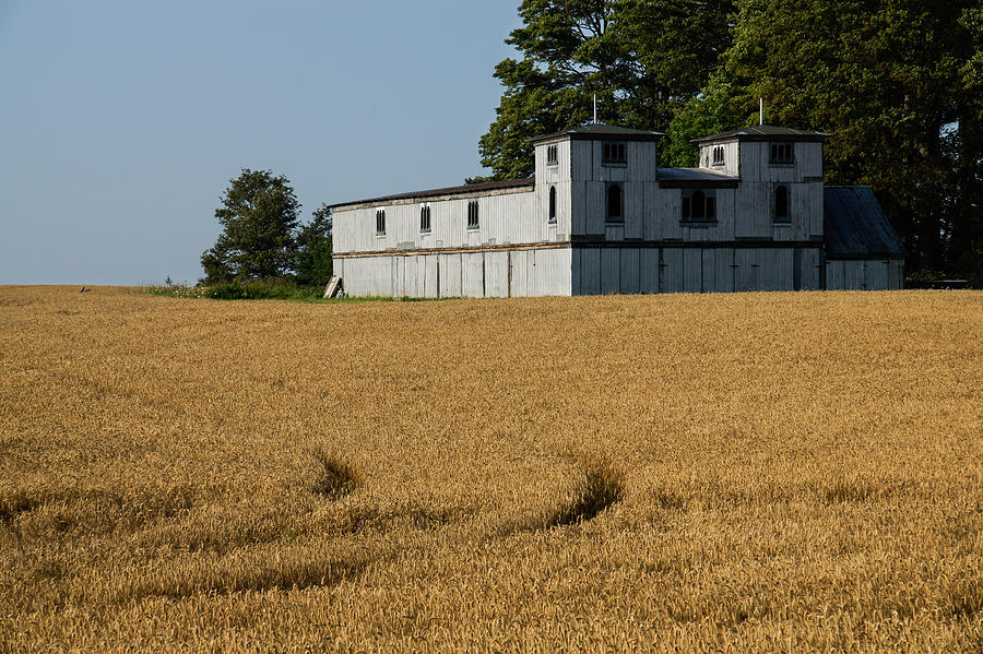 The Ancient Double Tower Barn in Golden Wheat Photograph by Georgia Mizuleva