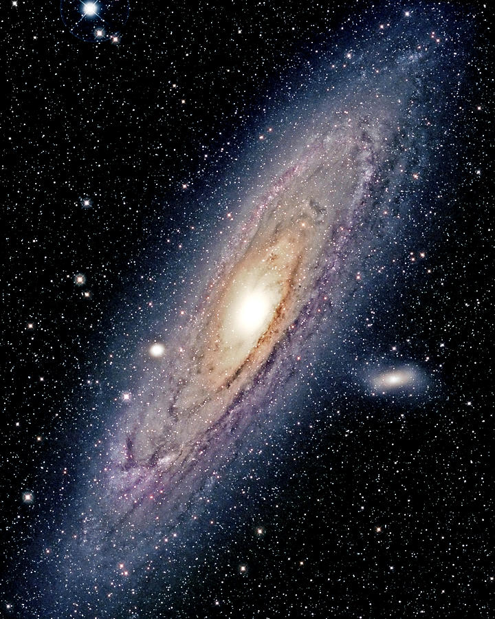 The Andromeda Galaxy Photograph by Jason T. Ware