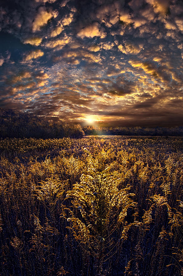 The Angels Get a Better View Photograph by Phil Koch