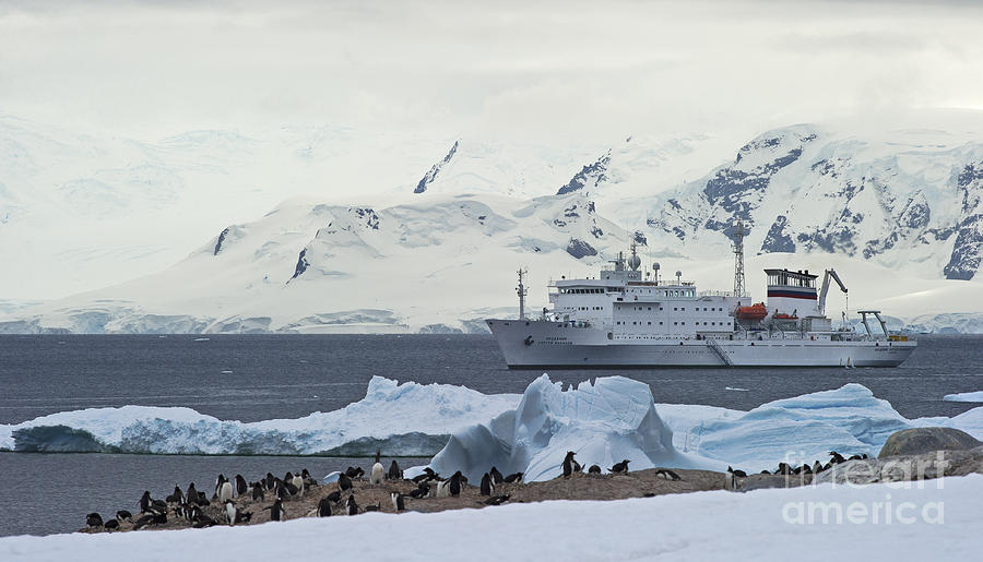 The Antarctic Circle... Photograph by Nina Stavlund