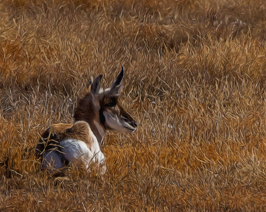 The Antelope 2 Digital Art Digital Art by Ernest Echols