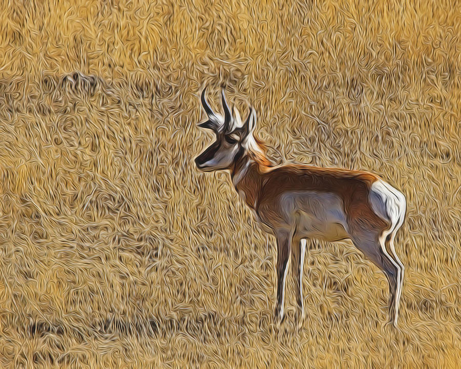 The Antelope 3 Digital Art Digital Art by Ernest Echols