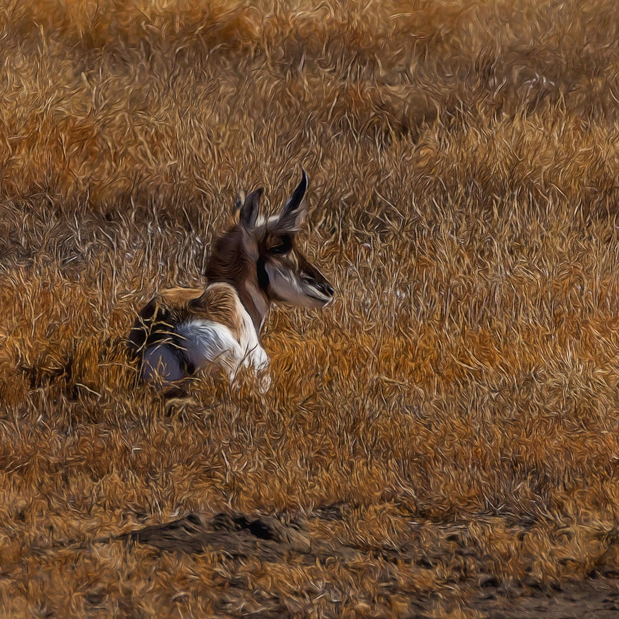The Antelope Digital Art Digital Art by Ernest Echols
