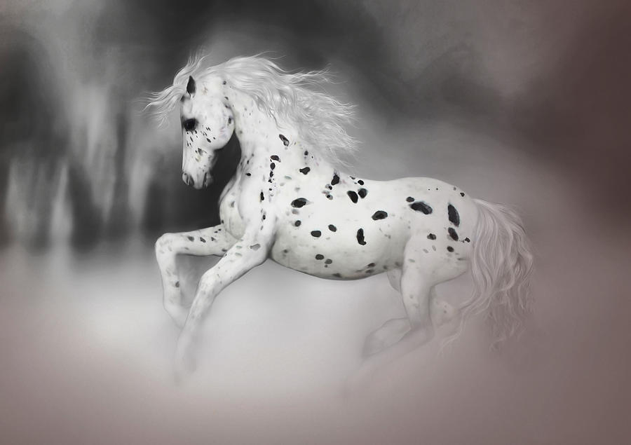 Horse Painting - The Appaloosa by Valerie Anne Kelly