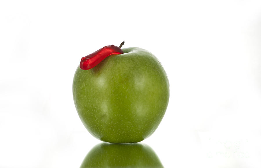The Apple and the Worm Photograph by Juli Scalzi