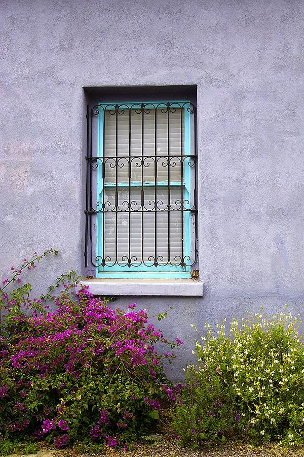 The Aqua Blue Window and Spring Flowers Photograph by Lucinda Walter