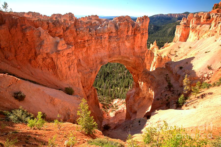 The Arch At Bryce Photograph by Adam Jewell