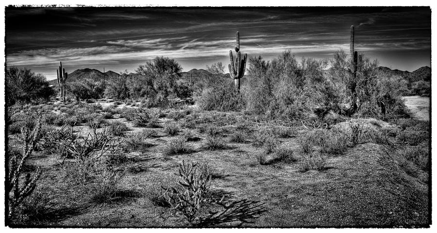 The Arizona Landscape Photograph by David Patterson