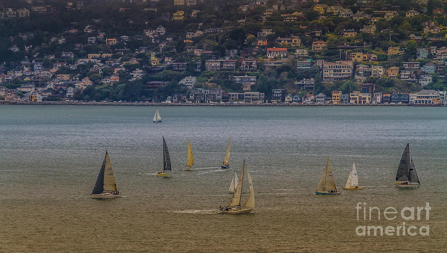 The Art Of Sailing Photograph by Mitch Shindelbower
