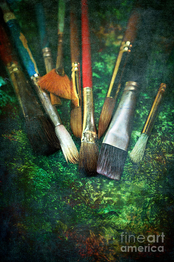 The Artist Brushes Photograph by Stephanie Frey