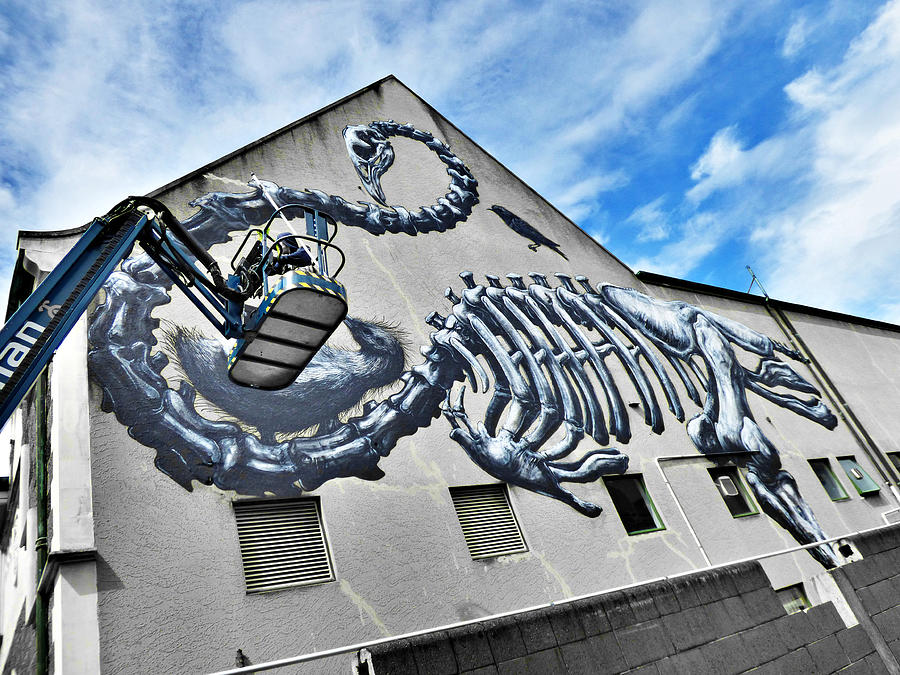 The Artist Roa At Work Photograph