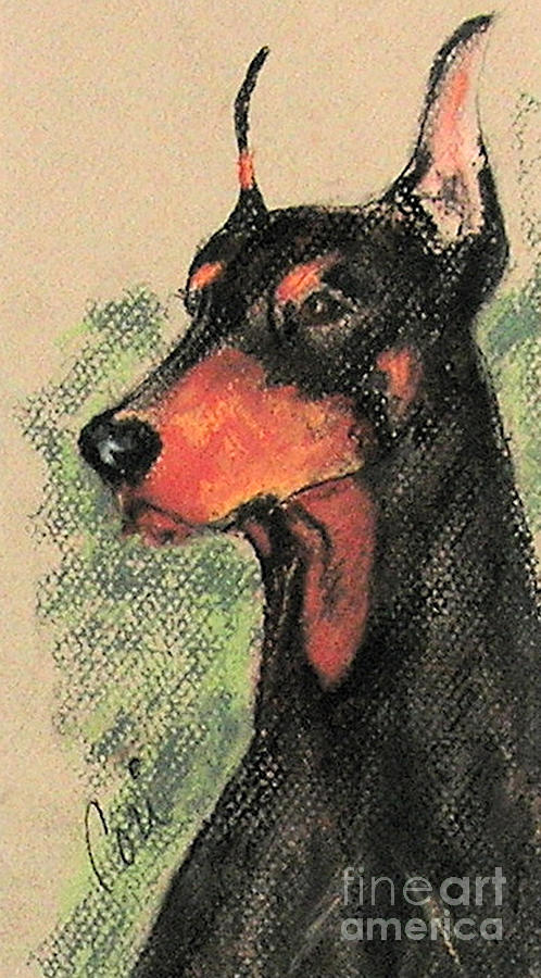 Dog Drawing - The Artistocrat II by Cori Solomon