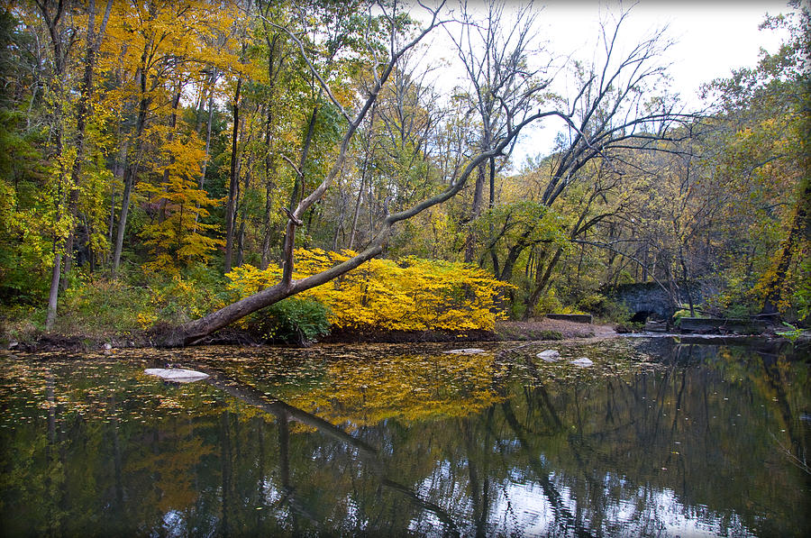 The Artistry of Nature - Wissahickon Creek Photograph by Bill Cannon
