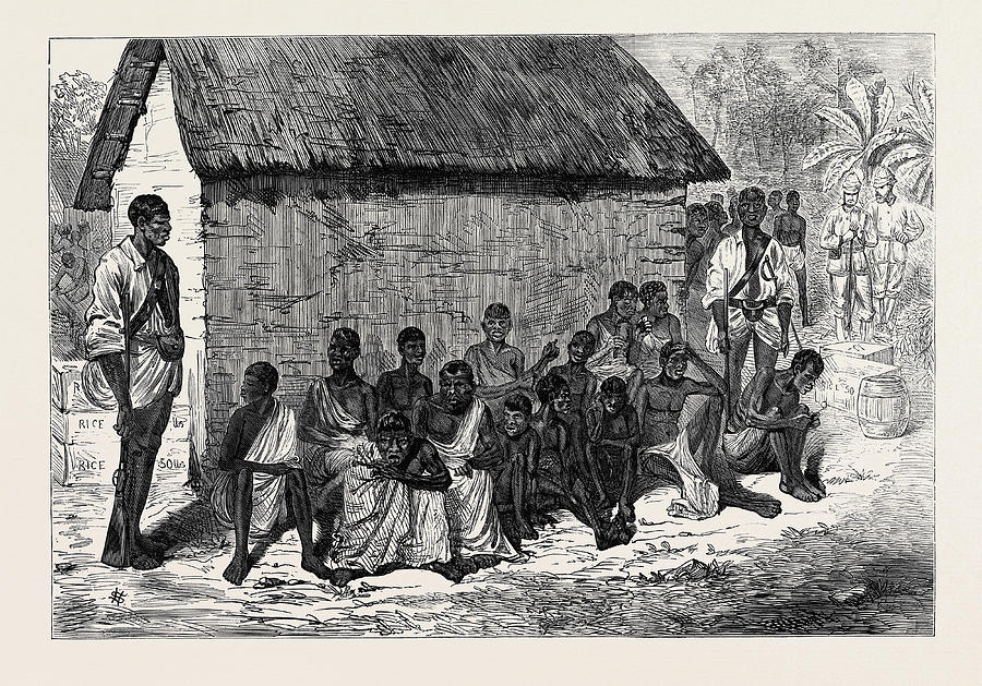 Vintage Drawing - The Ashantee War Ashantee Prisoners 1874 by English School