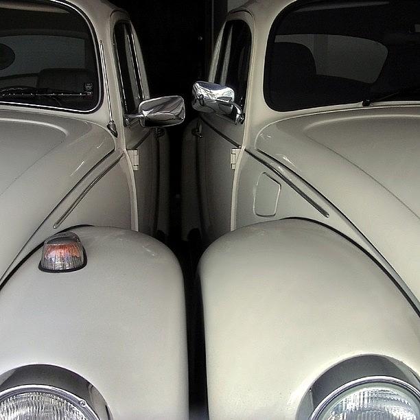 Car Photograph - The Authentic Love Bugs by Carlos Alkmin