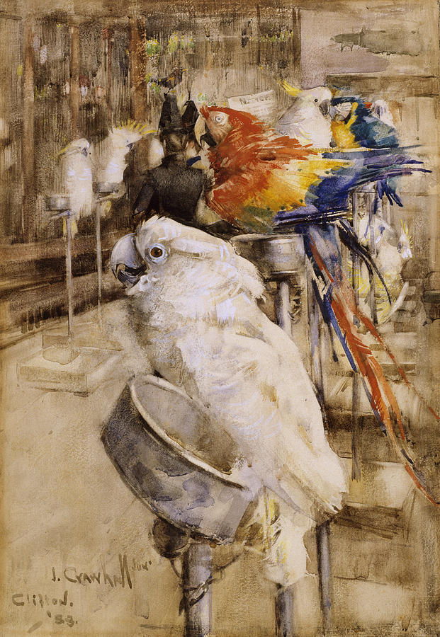 Parrot Drawing - The Aviary, Clifton, 1888 by Joseph Crawhall