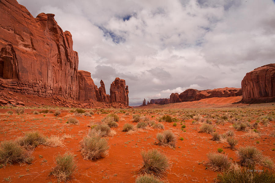 Landscape Photograph - The Awakening Monument Valley by Tim Bryan