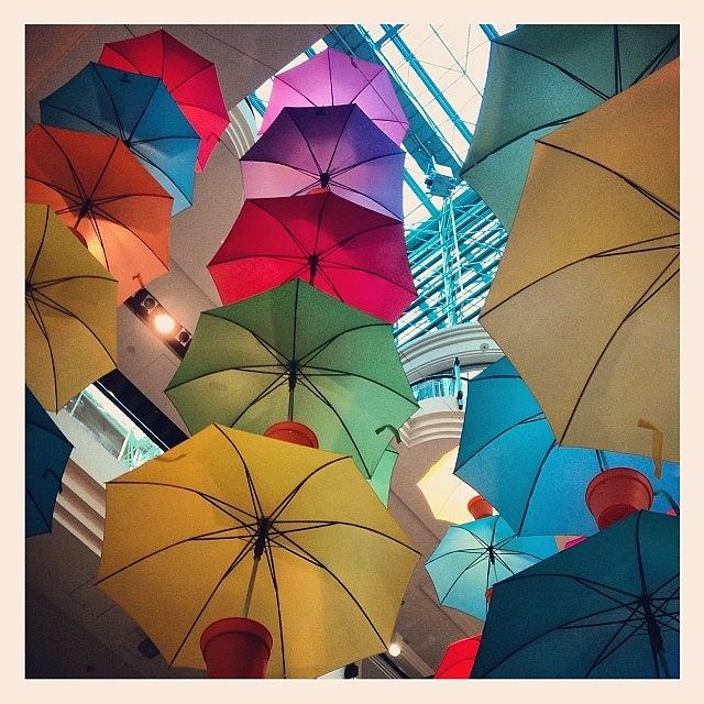 The Awesome Umbrellas At Australia On Photograph by Undercover _ewok™