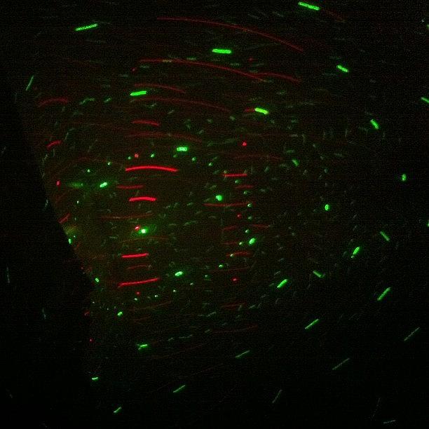 Trippy Photograph - The Awesomeness Level In My Room Right by Alaina Colon