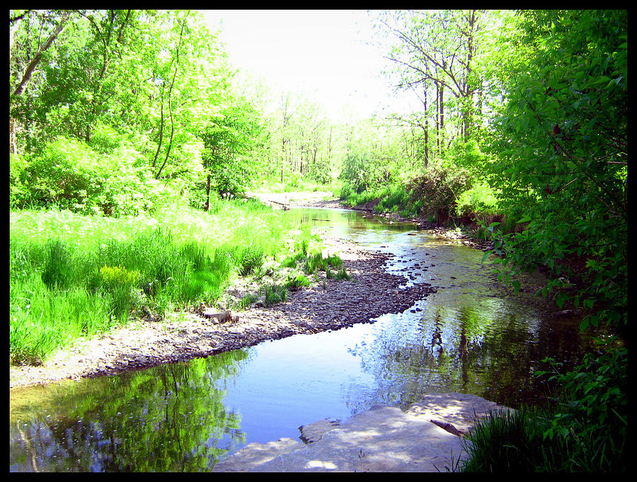 The Babbling Stream Photograph